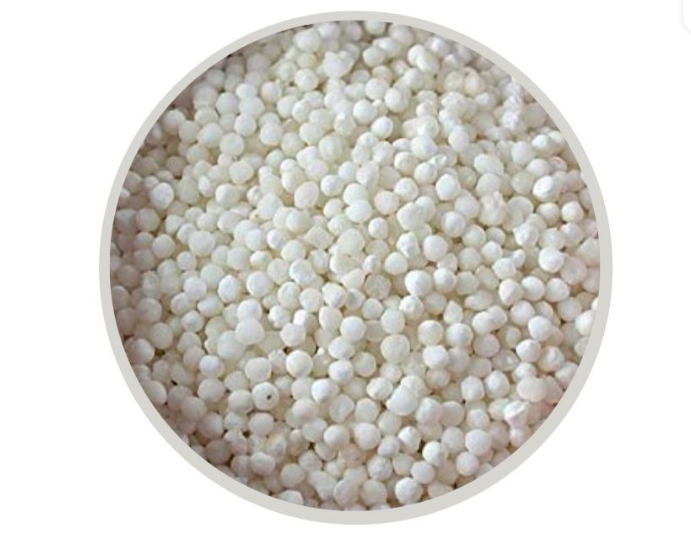 Shabudana 1kg