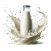 Milk (Buffalo) 1 Ltr